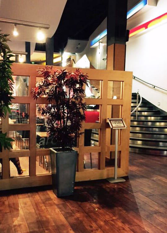 View of Japanese Acer and staircase in Aroma restaurant